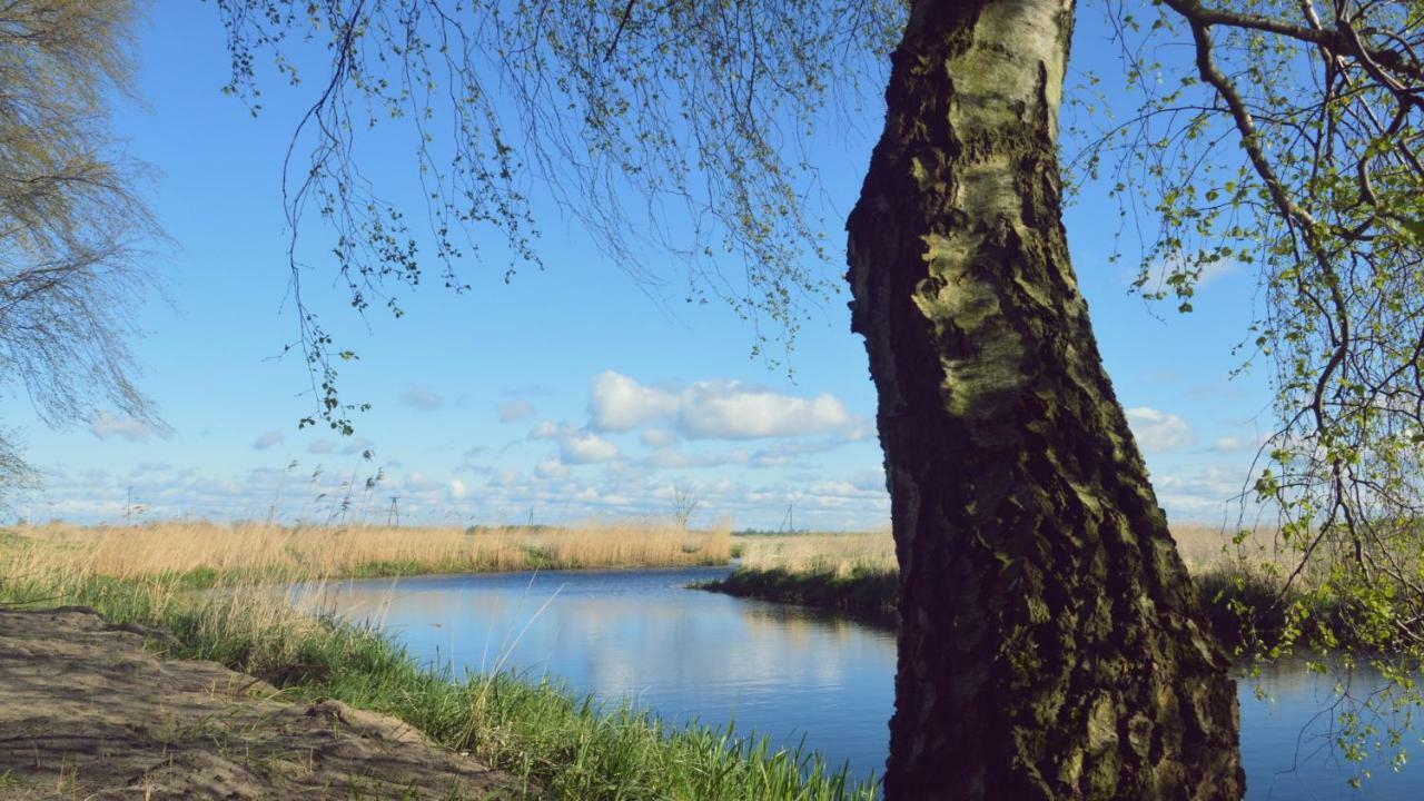 Domki Nad Stara Rega ميجيجنو المظهر الخارجي الصورة